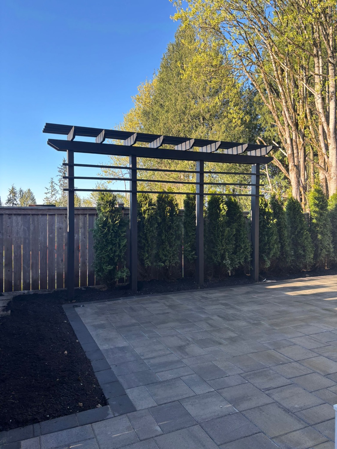 Finished dark pergola over paver patio with privacy hedges